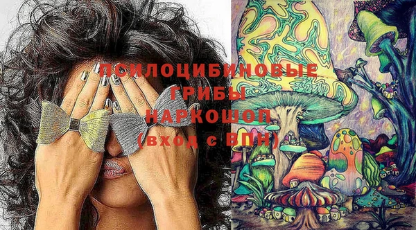 эйфоретик Белокуриха