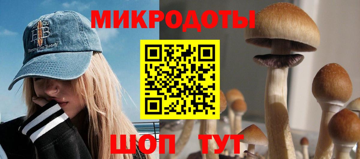 Псилоцибиновые грибы мицелий Луховицы
